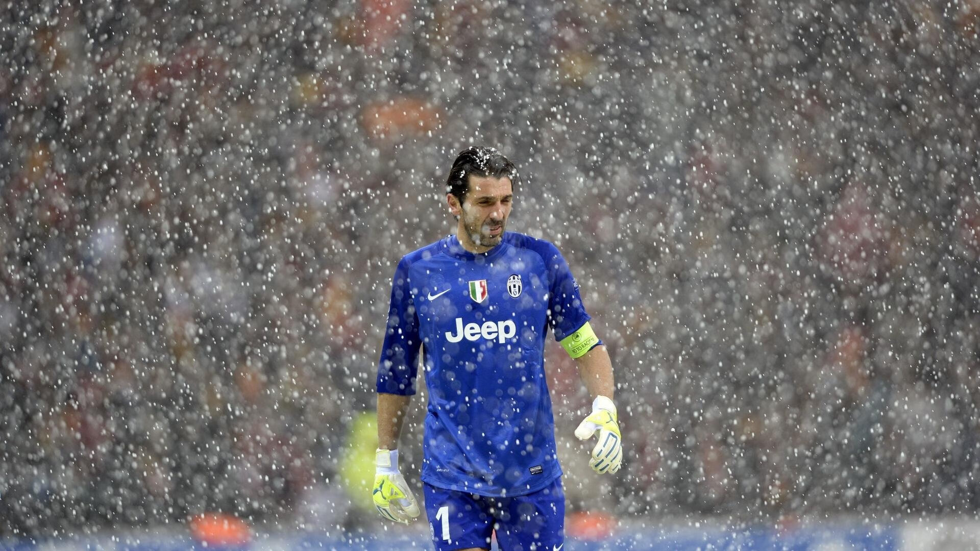 1451亿王传福，股神巴菲特为何“失望”？